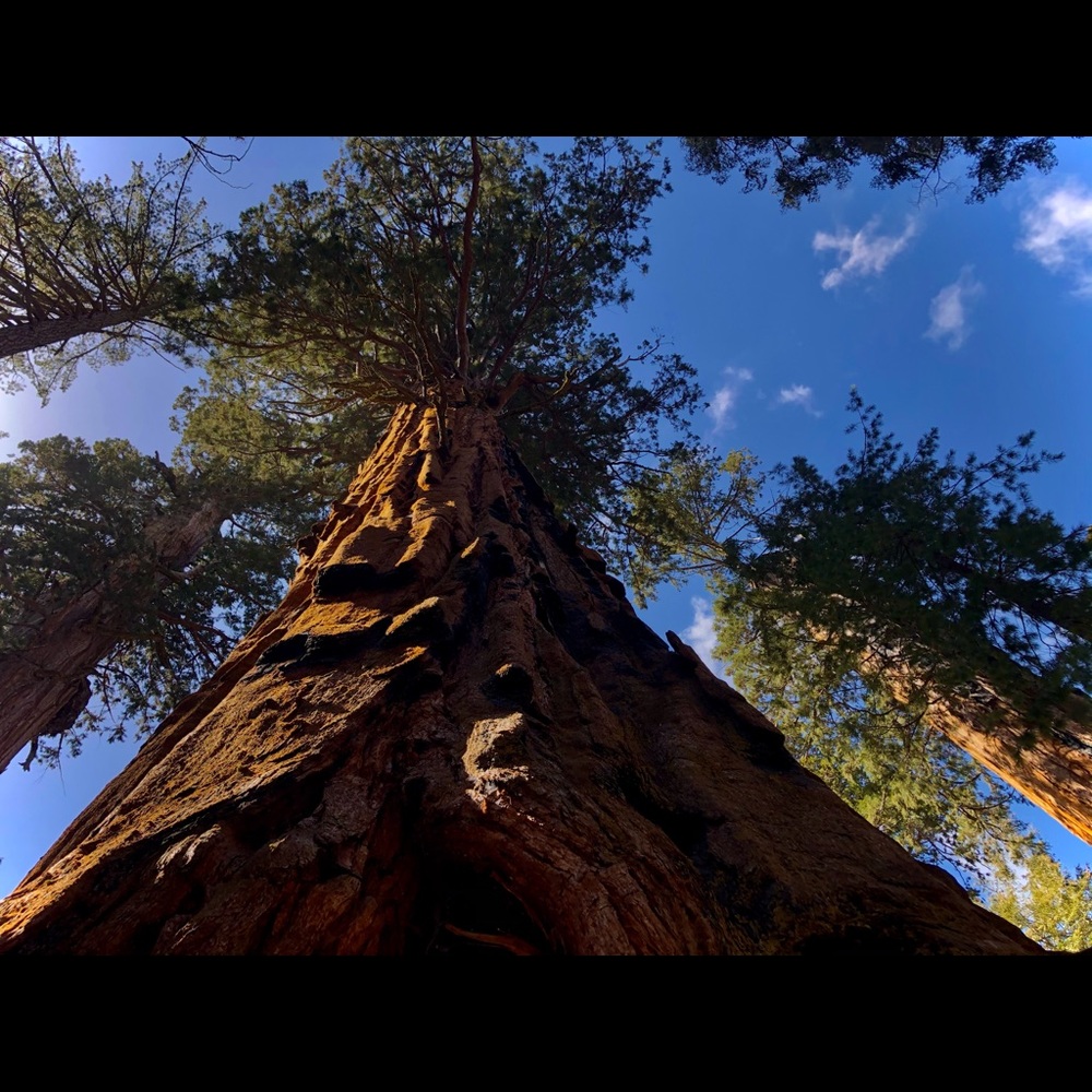 Meet your Posher, That